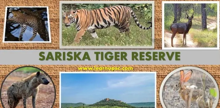 Sariska Tiger Reserve