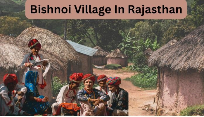 Bishnoi Village Tours