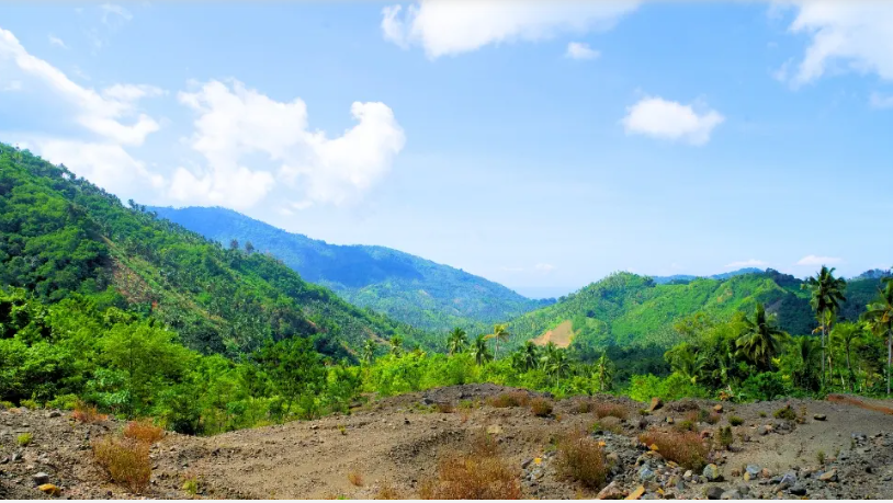 Mount Abu Wildlife Sanctuary
